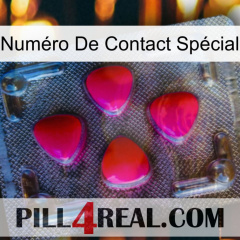 Numéro De Contact Spécial 13
